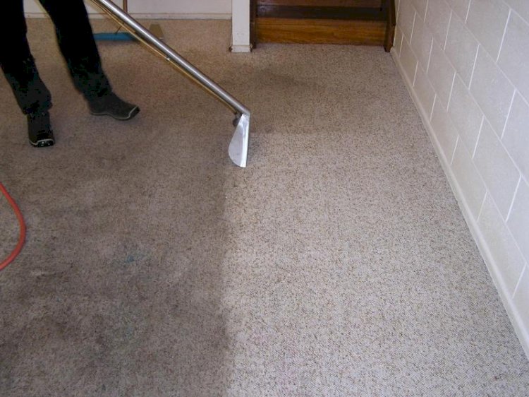 Do Contaminated Carpets Cause Allergic Problems?