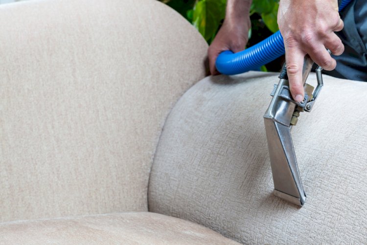How To Clean Ants Infected Upholstery