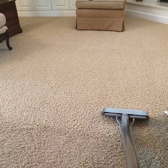Important Tips for Area rug cleaning