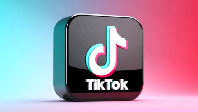 TikTok Widget To Boost Your Small Business - A Complete Guide