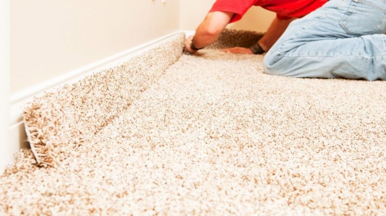 How To Remove Mold From Your Carpets?