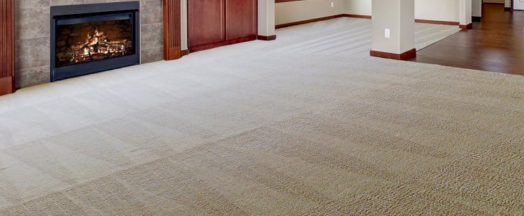 Signs That Your Carpets Need Immediate Cleaning