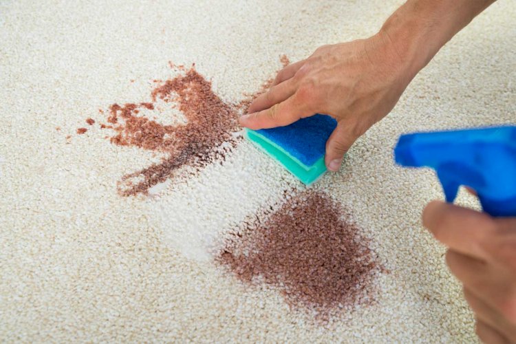 Helpful Tips For Clean Mustard Stains From Your Carpet